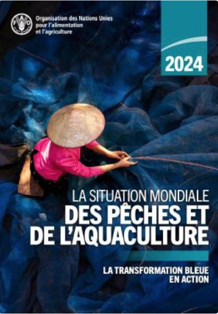 La situation mondiale des pêches et de l'aquaculture FAO - 2024